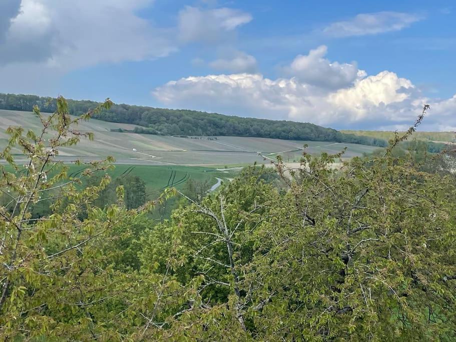 Maison D'Hotes Baslieux-sous-Chatillon Dış mekan fotoğraf